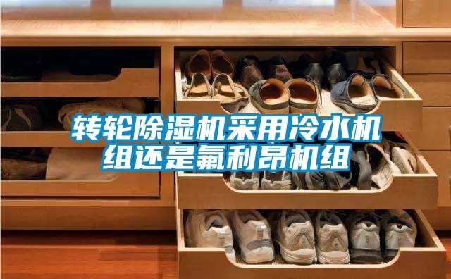轉輪除濕機采用冷水機組還是氟利昂機組