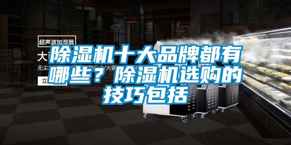 除濕機十大品牌都有哪些？除濕機選購的技巧包括