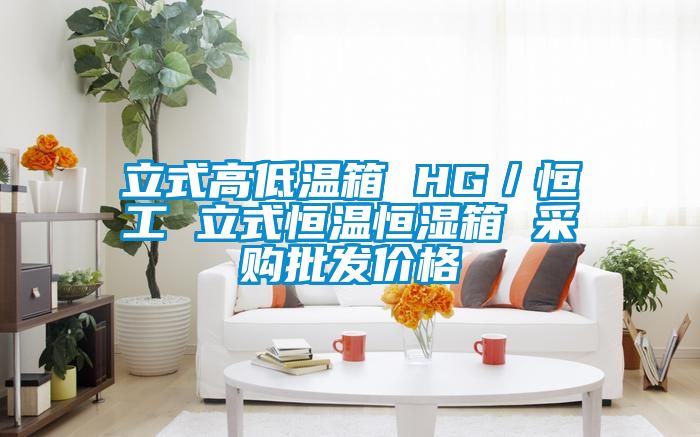 立式高低溫箱 HG／恒工 立式恒溫恒濕箱 采購批發價格
