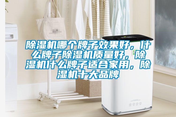 除濕機哪個牌子效果好，什么牌子除濕機質量好，除濕機什么牌子適合家用，除濕機十大品牌