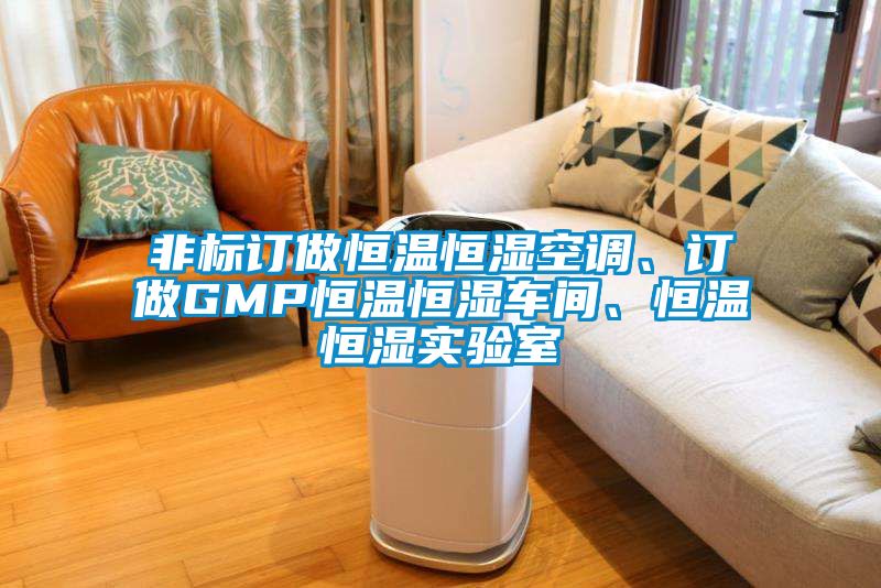 非標訂做恒溫恒濕空調、訂做GMP恒溫恒濕車間、恒溫恒濕實驗室