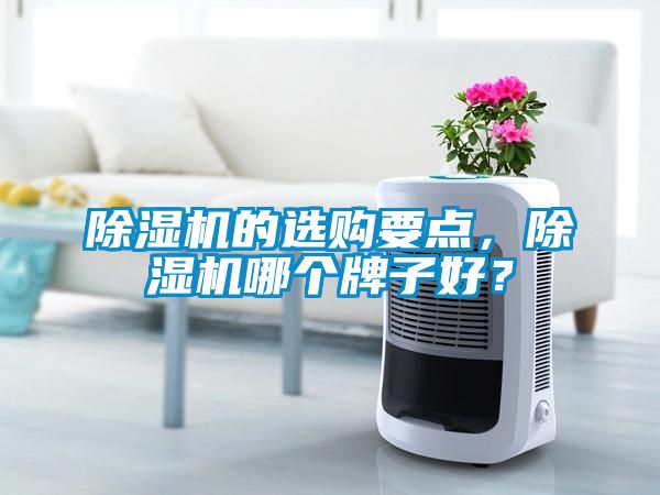 除濕機的選購要點，除濕機哪個牌子好？
