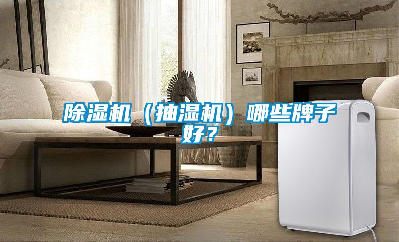 除濕機（抽濕機）哪些牌子好？