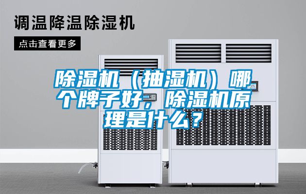 除濕機（抽濕機）哪個牌子好，除濕機原理是什么？
