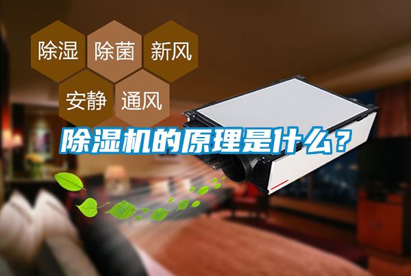 除濕機(jī)的原理是什么？