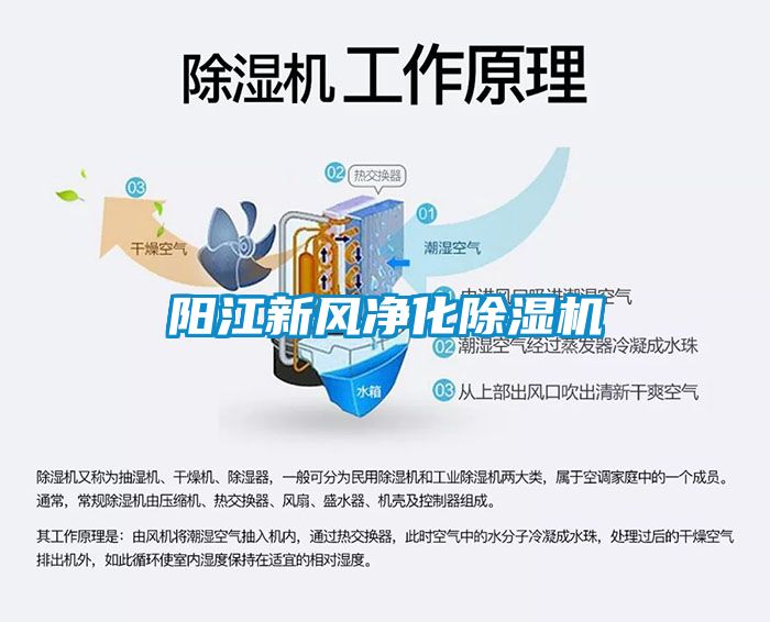 陽江新風(fēng)凈化除濕機