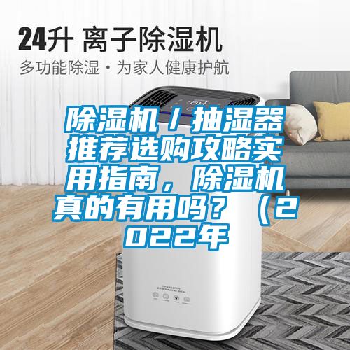 除濕機(jī)／抽濕器推薦選購攻略實(shí)用指南，除濕機(jī)真的有用嗎？（2022年