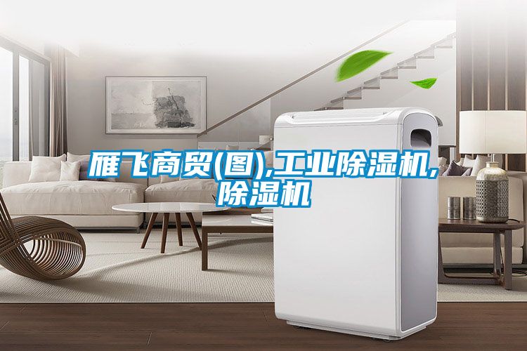 雁飛商貿(圖),工業除濕機,除濕機