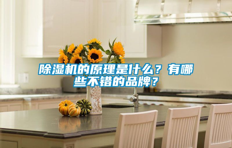 除濕機的原理是什么？有哪些不錯的品牌？