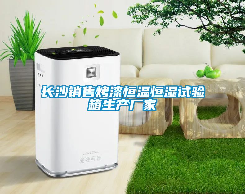 長(zhǎng)沙銷售烤漆恒溫恒濕試驗(yàn)箱生產(chǎn)廠家