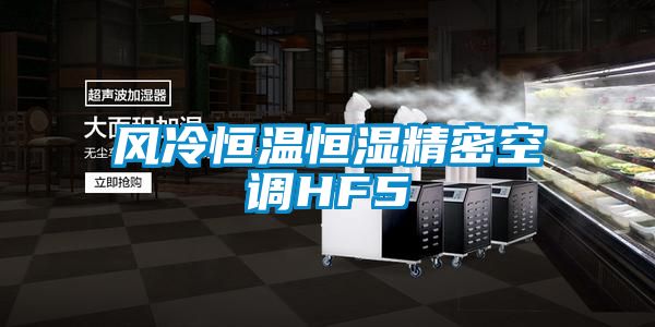 風冷恒溫恒濕精密空調(diào)HF5