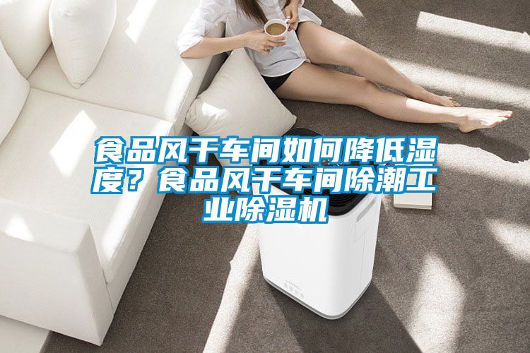 食品風(fēng)干車間如何降低濕度？食品風(fēng)干車間除潮工業(yè)除濕機(jī)